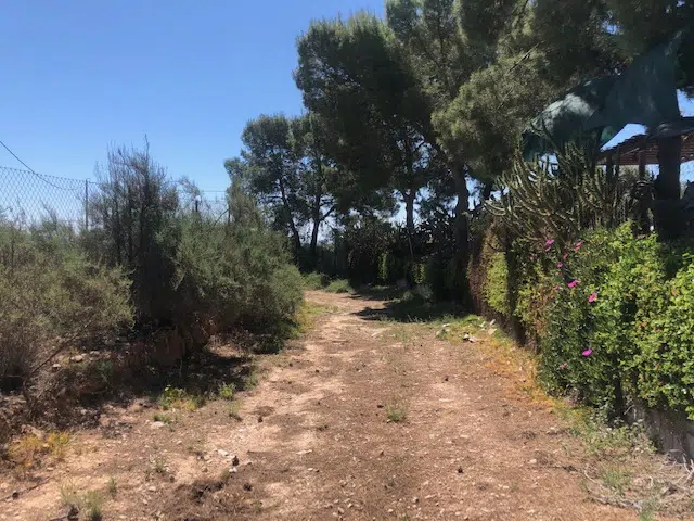 Building plot in Crevillente - 1/8